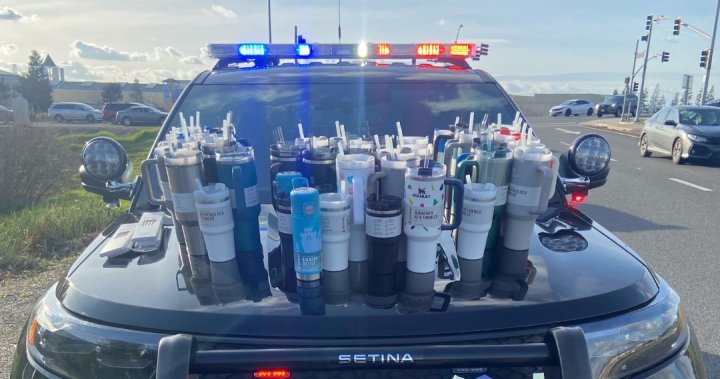 Woman, 23, arrested with $3,000 worth of stolen Stanley cups in her car – National
