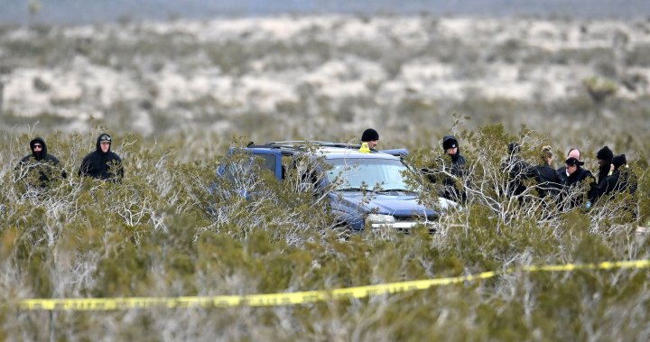 Mojave mystery: 6 dead bodies found at remote crossroads in Calif. desert – National