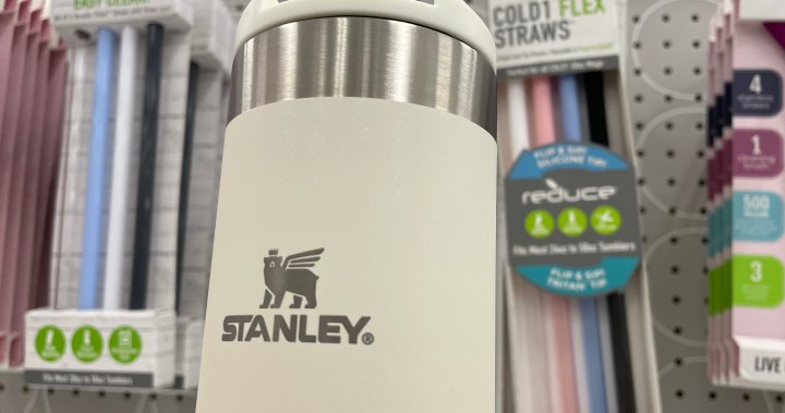 Stanley cup maker says products contain ‘some lead.’ Are they safe to use? – National