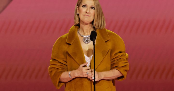 Céline Dion makes surprise on-stage appearance at the Grammy Awards