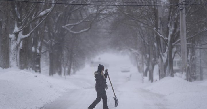 N.S. storm: Parts of Cape Breton under state of emergency, 100+ cm of snow possible