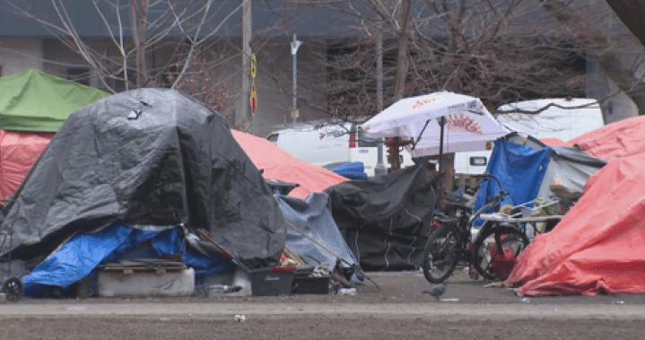‘Fear, stress’: Toronto residents pen letter to city over homeless encampment
