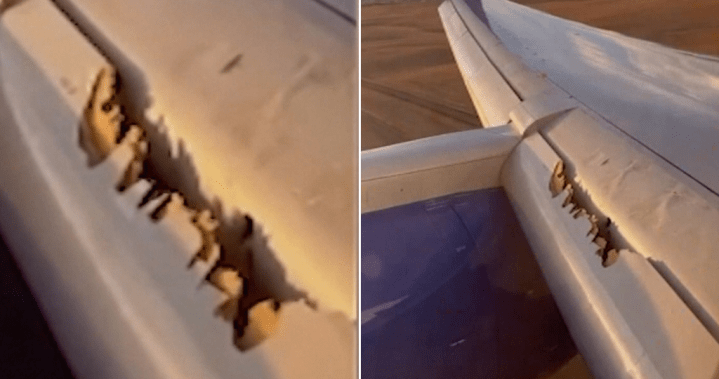 Passenger captures video of plane wing coming apart as United flight forced to land – National