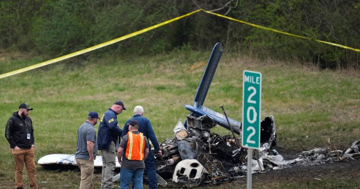 Nashville plane crash kills 5 Canadians, including 3 kids: U.S officials