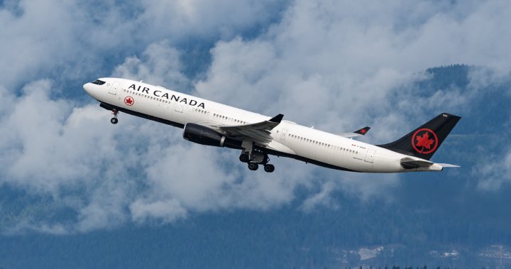 Air Canada diverts plane as baby born on Toronto-bound flight
