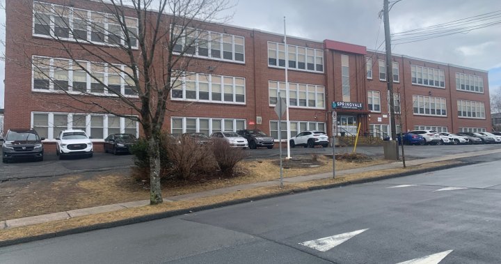 5 students ingest edibles brought to Halifax elementary school, taken to hospital: police