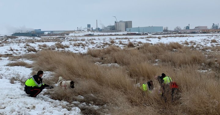 Southern Alberta man stuck in mud for 2 days rescued thanks to his dog