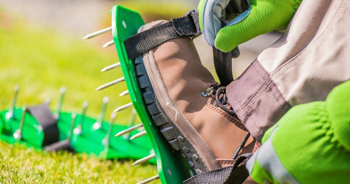 7 great products to aerate your lawn, from tools to sprays – National
