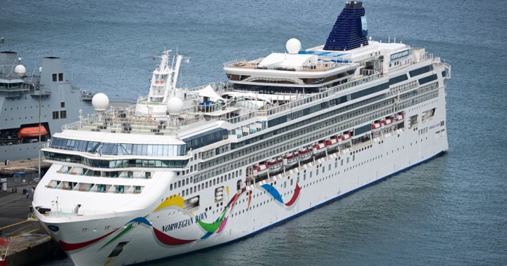 8 cruise ship passengers stranded in Africa after arriving late to boarding – National