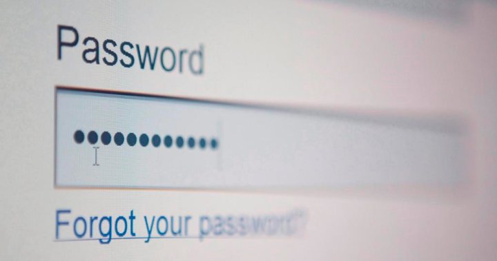 U.K. bans generic passwords over cybersecurity concerns. Should Canada be next? – National