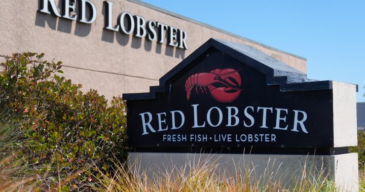 Red Lobster files for bankruptcy protection. Will restaurants remain open? – National