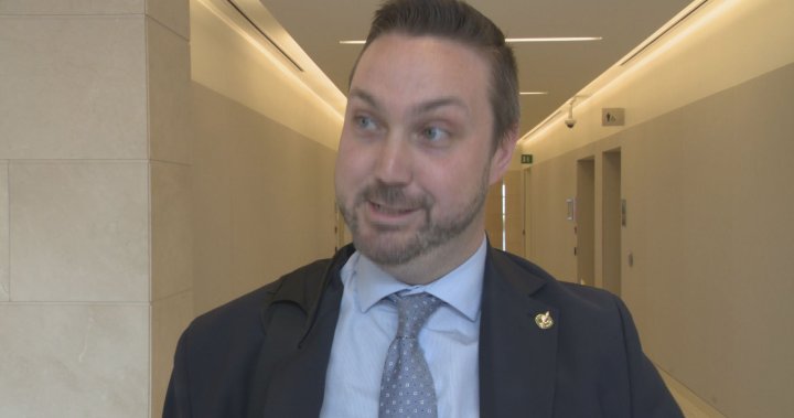 NDP MP raps Conservative over ‘fake news’ video – National