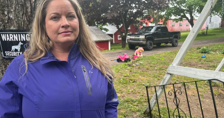 ‘Heart-wrenching’: Family’s motorhome stolen from front yard just days after buying it