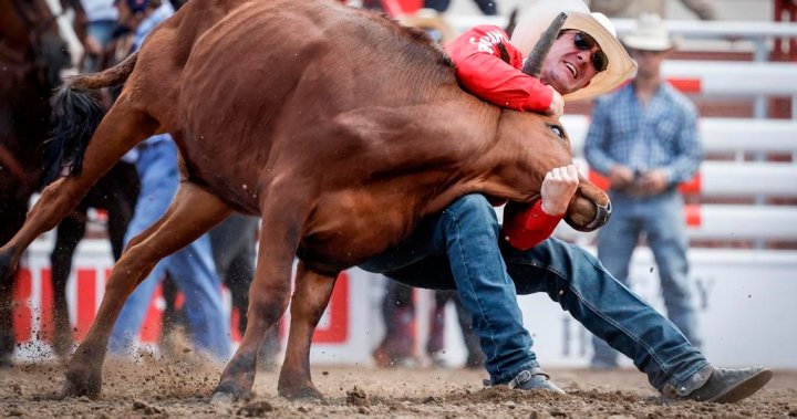 Calgary Stampede closes in on all-time attendance record