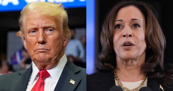 Trump vs. Harris? Here’s what recent polls say about the potential match-up – National