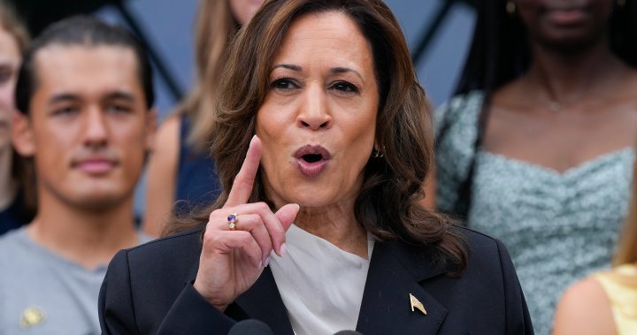 Kamala Harris wins support from Pelosi, other top Democrats to replace Biden – National