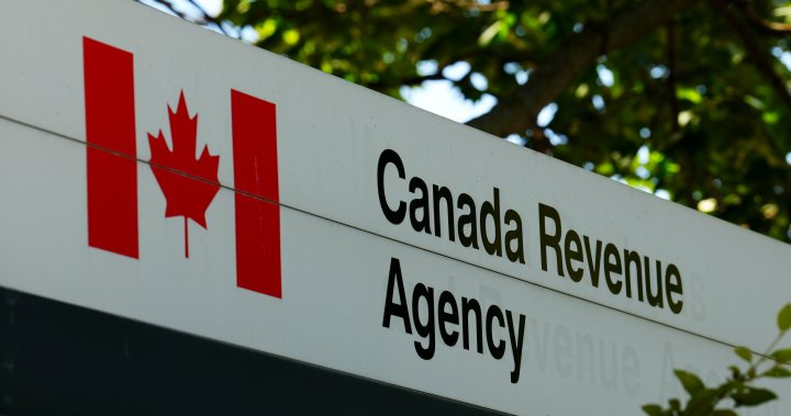 CRA says 2M Canadians invited for automatic tax filing pilot this year – National