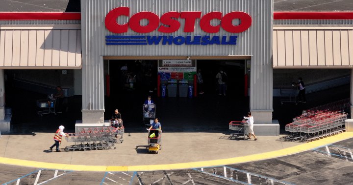 Costco crackdown: Membership scanners to be added at warehouse entrances  – National