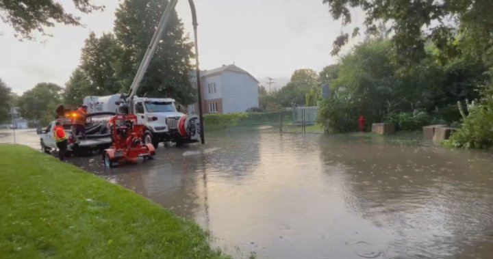 Debby dumped 173 mm of rain on this Montreal town. Now, flood victims must clean up