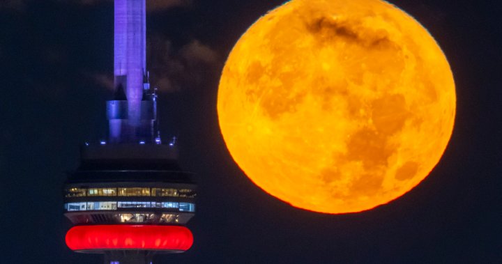 Super blue moon will be ‘biggest and brightest’ of the year. What to know – National