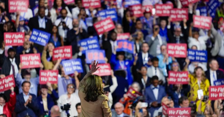 Republicans flock to Democratic convention with ‘common cause’ to elect Harris – National