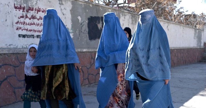 Taliban bans women’s voices, bare faces from public in new restrictive laws – National