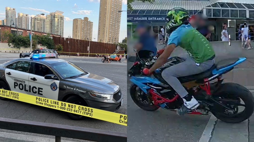 Toronto cop seriously injured in hit-and-run near Rogers Centre