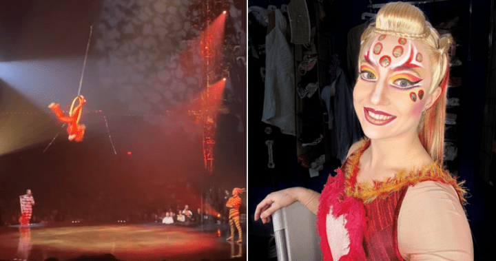 Cirque du Soleil aerialist hospitalized after fall in front of live audience – National