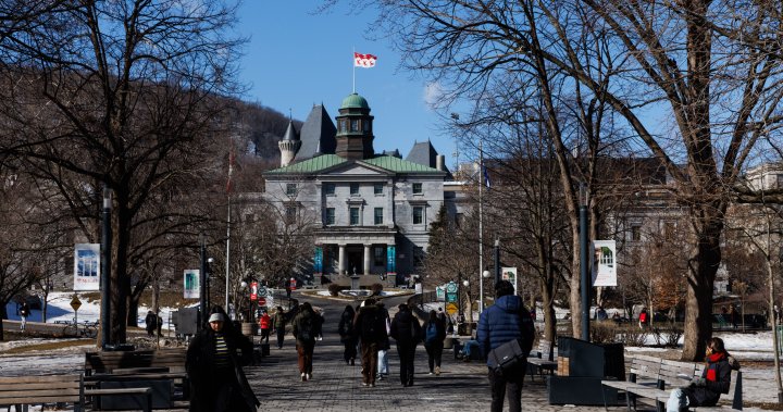 International student enrolment has dropped below federal cap, universities say – National