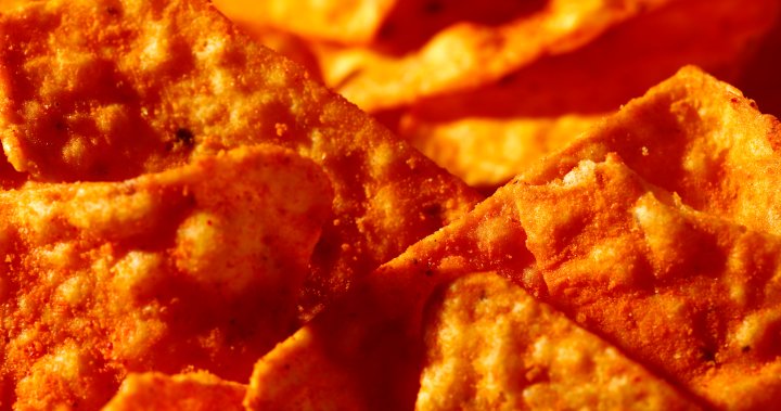 Doritos dye turns mice translucent, researchers find. Are humans next? – National