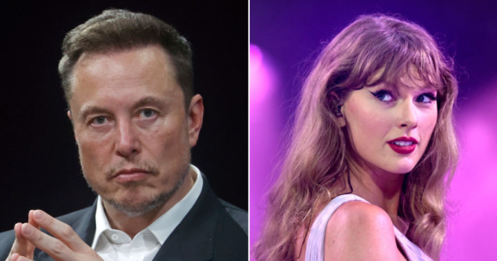 Elon Musk offers to give Taylor Swift ‘a child’ in bizarre debate post – National