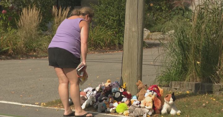 ‘I couldn’t stop crying’: Memorial grows for 5-year-old boy killed in home