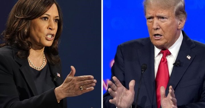 Harris is erasing Trump’s lead on the economy, new poll suggests – National