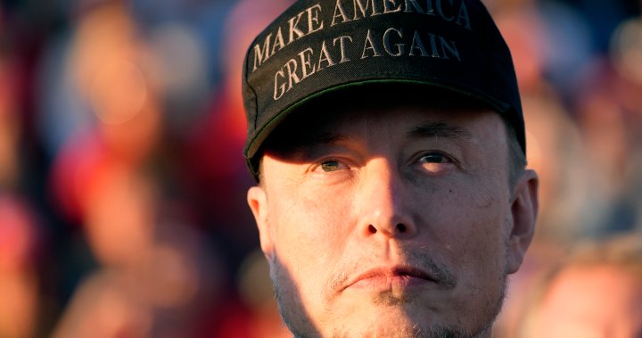 Elon Musk joins Trump at U.S. election rally, declares ‘I am dark MAGA’ – National