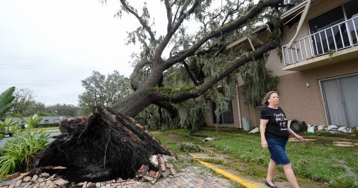 Floridians who stayed to weather Hurricane Milton share how they fared – National