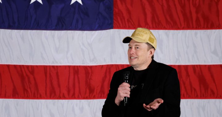 Elon Musk offers $1M giveaway for swing state voters who sign PAC petition – National