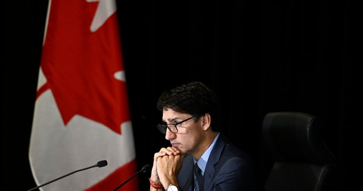 Trudeau resignation would be in Canada’s best interest: Liberal MP – National