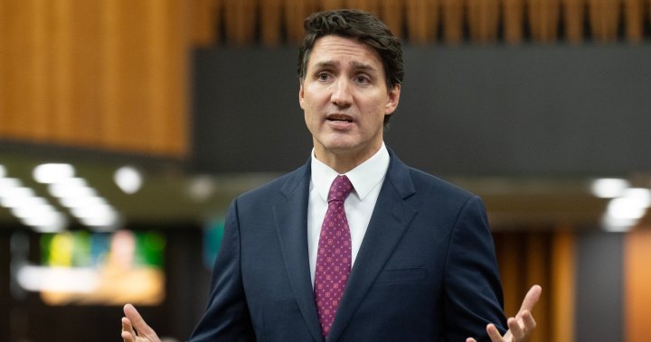 Trudeau says Liberals ‘strong and united’ after caucus challenge – National