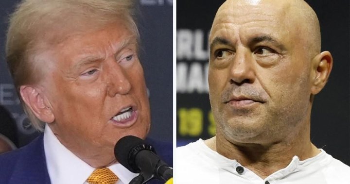 Trump repeated election lies in his interview with Joe Rogan. Here are the facts – National