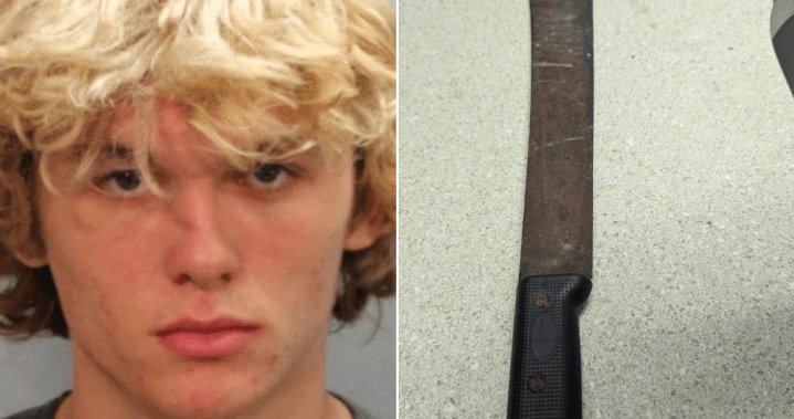 Machete-wielding teen arrested for threatening voters at Florida polling site – National