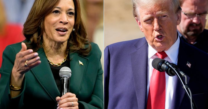 Canada prepares for U.S. election. What a Trump or Harris win could mean – National