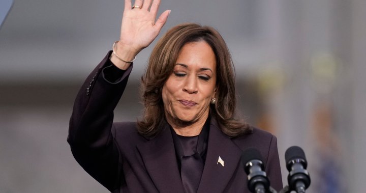 Kamala Harris concedes U.S. election loss to Donald Trump: ‘Do not despair’ – National