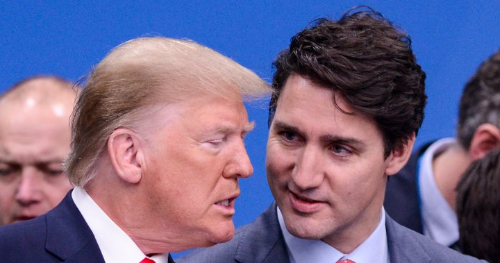 ‘No rush’ for snap election in Canada after Trump win, experts say – National