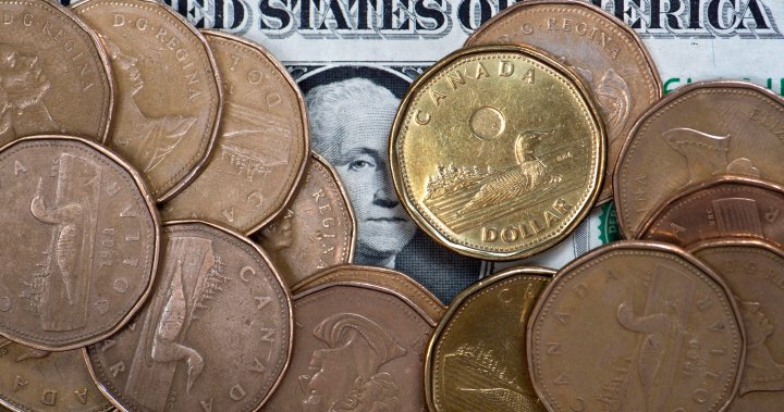 What Trump’s election could mean for Canadian rates and the loonie – National