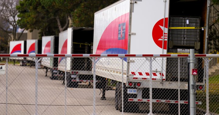 Canada Post: No agreement so far as work stoppage deadline nears – National