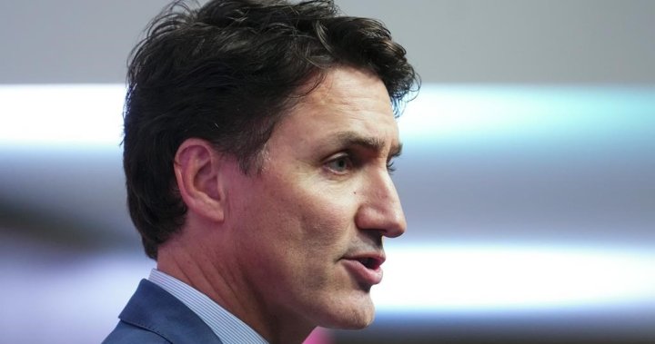 Trudeau says he could have acted faster on immigration changes, blames ‘bad actors’ – National