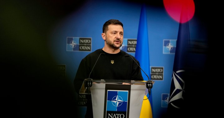 NATO offer for Ukraine-controlled land could end war’s ‘hot stage’: Zelenskyy – National