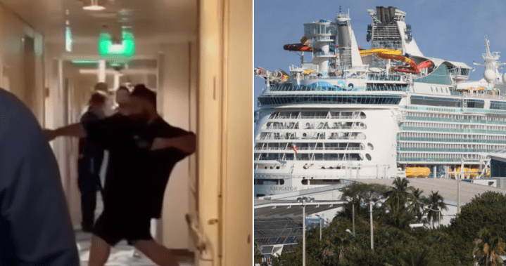 ‘Drunk’ cruise passenger dies aboard ship after allegedly assaulting staff – National