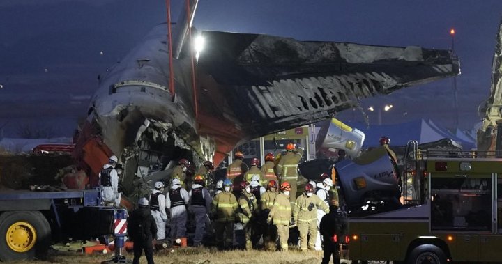 Plane crashes while landing in South Korea, killing 179 people – National