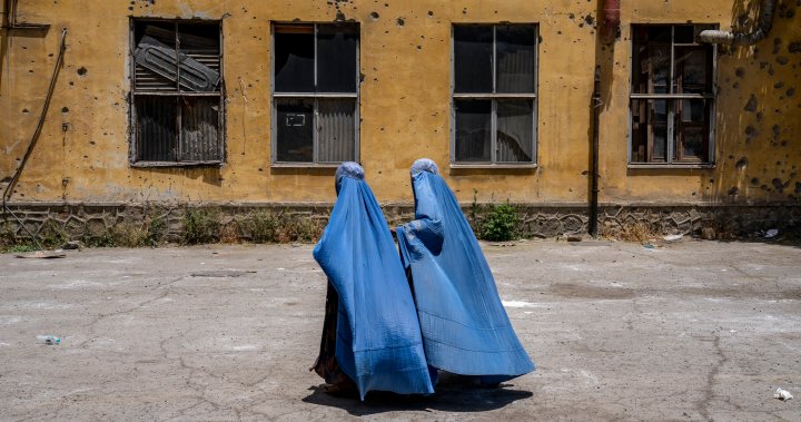 Taliban to close all NGOs employing women in Afghanistan – National